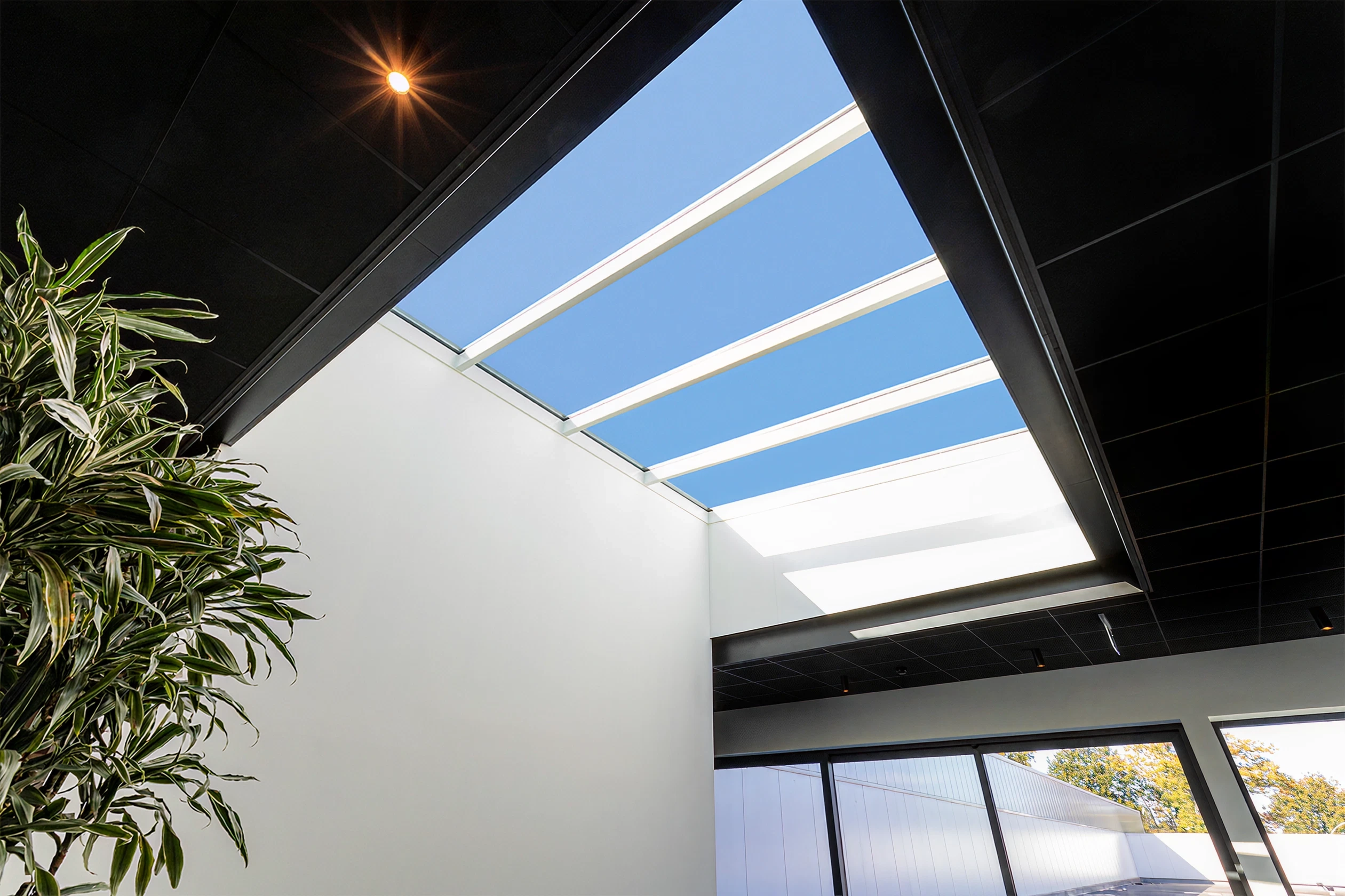 Blog image test 1